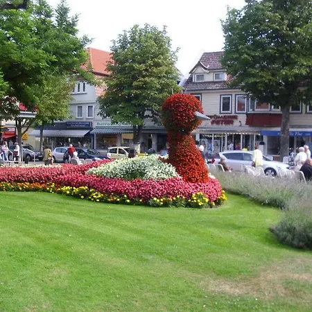 Morgenthal Apartamento Bad Harzburg